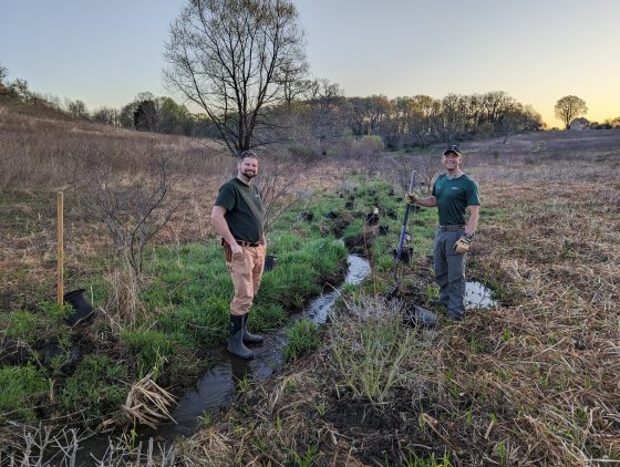 Two people planting in a large Meadow Garden at Longwood. 